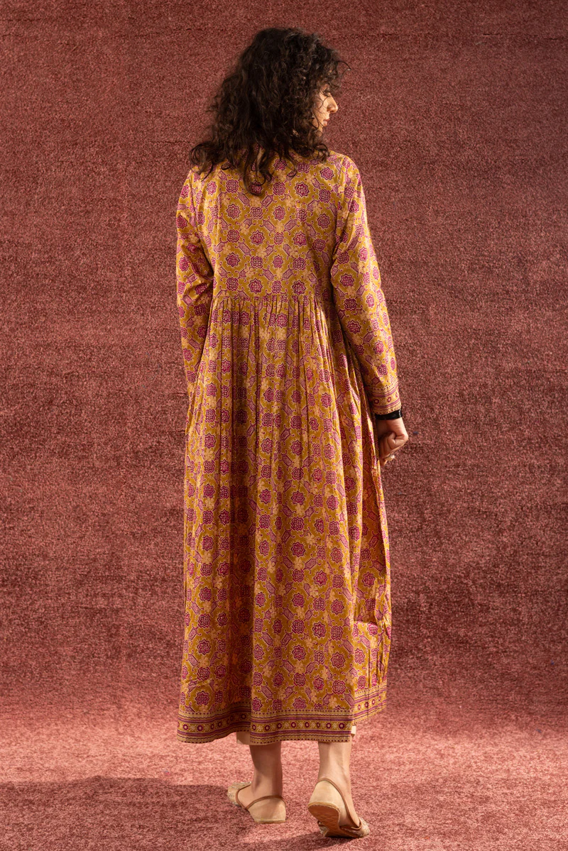 Ralli Dastan Flared Dress - Image 13